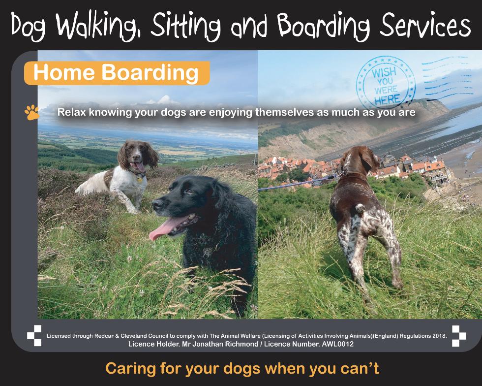 dogsbuddy Dog Walking, Home Boarding, Sitting Service and Pet Taxi